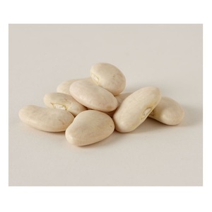 Haricots au beurre de haute qualité à vendre - Product Image 5