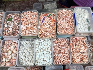 PREMIUM IQF FROZEN <b>CRAB</b> MEAT FROM WILD CAUGHT <b>CRABS</b> CAREFULLY PROCESSED VACUUM PACKED AND READY FOR EXPORT - Product Image 3