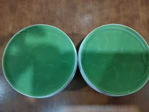 Amla ครีม & น้ำมันใส่ผมสมุนไพรออร์แกนิกสำหรับบำรุงผมให้ความชุ่มชื้นดูแลหนังศีรษะเพื่อการเจริญเติบโตของเส้นผม - Product Image 4