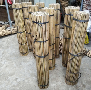 เสาไม้ไผ่เสาไม้ไผ่สำหรับระแนงไม้ไผ่ใช้สำหรับปลูกต้นไม้เสาไม้ไผ่ที่ใช้ในการเกษตรขนาดเส้นผ่าศูนย์กลาง1.2-3ซม. - Product Image 4