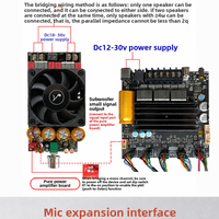 ST21 Filtre passe-haut pour amplificateur numérique, câbles de connexion, 2.1 canaux, 100W x 2 + 200W, puce TPA3221 originale, audio chinois