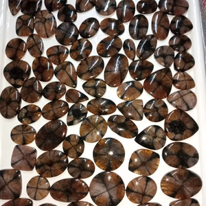 100% naturel Chiastolite semi-précieux Cabochon lisse cristal de Quartz poli pour la guérison des pierres précieuses en vrac Chiastolite Cabochon - Product Image 1