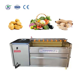 Professional Vegetable Processing Equipment with CE certificate - Product Image 1