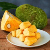 [Panas] harga yang baik beku Nangka dari NAM utamanya