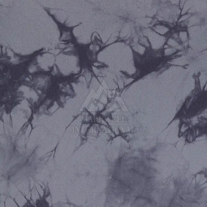 Nouveaux designs de t-shirts à manches longues, vêtements décontractés, t-shirts à manches longues pour l'été, t-shirts à manches longues en gros - Product Image 6