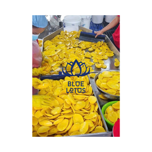 แพ็กเกจที่ดีสำหรับร่างกายมะม่วงอบแห้งสไตล์เวียดนามขายส่ง - Product Image 1