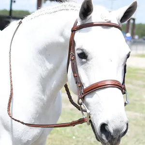 Professionale produce vendita calda prezzi a buon mercato 100% l'alta qualità migliore Pakistan fatto miglior cavallo briglia prezzo all'ingrosso