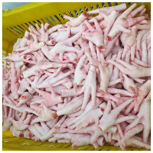 Patas de Pollo Congeladas Halal, Patas de Pollo Congeladas/Patas de Pollo Congeladas de Plantas Certificadas, Vendedores al por Mayor - Product Image 2