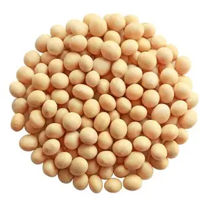 Best Selling Soy Bean Seeds Top Choice Soybeans Cheap Price Soya Beans