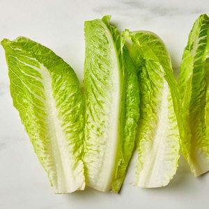 Vente en gros de légumes de laitue: feuilles, tiges et graines les plus vendues pour les salades, les soupes, les sandwichs, les wraps et les grillades - Product Image 6
