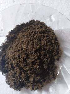 ผงเมล็ดคาลีจีรีดำแห้งบริสุทธิ์ 100% สำหรับเสริมสร้างระบบภูมิคุ้มกัน สนับสนุนสุขภาพโดยรวม คุณภาพส่งออกแบบอายุรเวท ผลิตในอินเดีย - Product Image 2