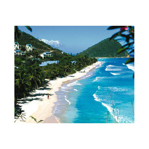 Prix Beech Long est parfait pour les projets de menuiserie haut de gamme disponibles à des prix abordables en gros Obtenez Beech Long pour une utilisation dans - Product Image 3