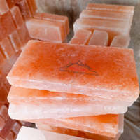 Briques de sel naturel de l'Himalaya Rose Qualité supérieure Certifié ISO Purification de l'air Contrôle de l'humidité Sculpté Motif de fleurs Feng Shui