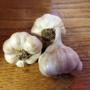 Garlic Quality Fresh White Garlic Supplier Wholesale Low-cost Bulk Garlic Best <strong>Vegetable</strong> Exporters Worldwide