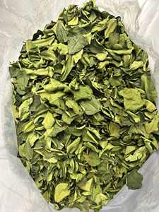 Hoja de lima de calidad de exportación, ingrediente de fábrica vietnamita, ofrecida con ventaja de precio de fábrica para distribuidores e importadores globales - Product Image 5