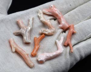 Palo de coral blanco natural Piedra preciosa suelta Piel de Ángel Coral Piedra rugosa pulida Tamaño 30X7MM a 43X5MM - Product Image 2