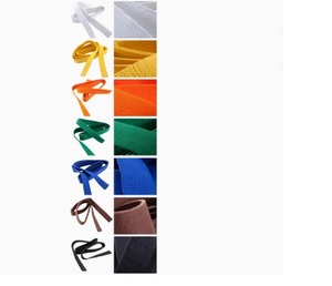 Cinturón Unisex Personalizado de Taekwondo y BJJ, Cinturón Bordado de Artes Marciales, Taekwondo, Karate para Entrenamiento de Artes Marciales, - Product Image 6