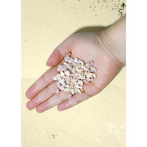 A3shop Articoli Decorativi Ufficiali per Acquario Rocce Decorative - Product Image 4