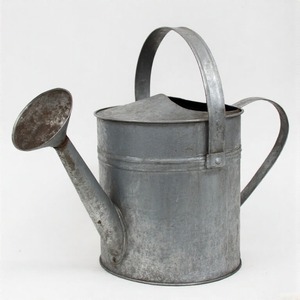 Pichet d'arrosage en relief floral au fini galvanisé avec tête d'arrosage souple pour nourrir en douceur les semis et les herbes. - Product Image 2