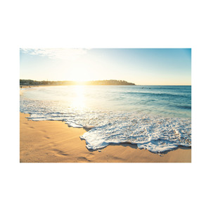 Grandes quantités de bûches de hêtre matériaux de construction en vrac pour tous vos besoins - Product Image 3