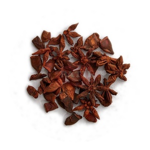 Anis étoilé en morceaux, Chakra Phool, épices séchées, pureté 99%, emballé sous vide, épice indienne - Product Image 1