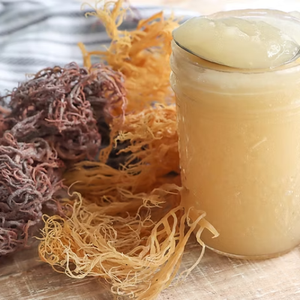 Économies énormes sur Fresh Organic Irish Seamoss Gel 2025 Vente traitée savoureuse que vous attendiez! - Product Image 3