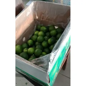 Panen Baru Buah Jeruk Segar Lemon Tanpa Biji Hijau dengan Kemasan 8Kg/Kotak Umur Simpan 2 Bulan dari Vietnam