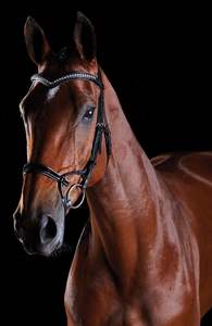 Bride brevet - Product Image 5