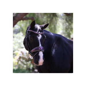 Edición limitada Cosmopolitan Snaffle Bridges Brida de cuero anatómico Proveedor Precio de fábrica al por mayor - Product Image 1