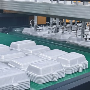 Bandeja de alimentos de espuma de poliestireno Ps Máquina de fabricación de contenedores de procesamiento de termoformado para fábrica - Product Image 2