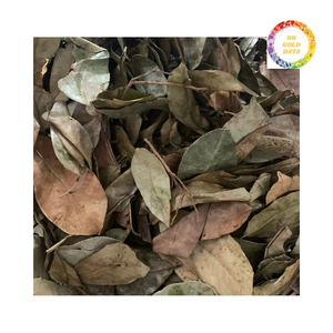 ใบเปรี้ยวจากเวียดนามมีคุณภาพสูง - Product Image 1