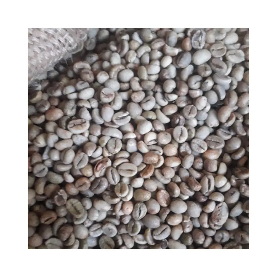 Best Price Robusta Coffee Bean Organic Fresh Raw Roasted High quality Arabica Traditional Coffee