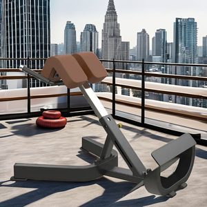 Équipement <span class=keywords><strong>de</strong></span> forme physique <span class=keywords><strong>de</strong></span> gymnase <span class=keywords><strong>de</strong></span> chaise romaine en métal utilisée commerciale <span class=keywords><strong>pour</strong></span> <span class=keywords><strong>le</strong></span> <span class=keywords><strong>banc</strong></span> d'extension arrière <span class=keywords><strong>de</strong></span> bodybuilding à vendre - Product Image 3