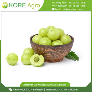 Amla-polvo indio de goosebberry, la mejor calidad, listo para exportarse, cantidad a granel - Product Image 3