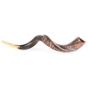 Shofar de Cuerno de Kudu, Artesanía Natural, Instrumento Musical Judío, Animal de la Familia Bovidae - Product Image 1