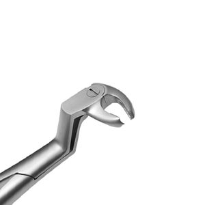 Forceps d'extraction dentaire manuel de haute qualité, neuf, pour les molaires inférieures, les dents de sagesse, pince à retirer les dents, en acier inoxydable - Product Image 3