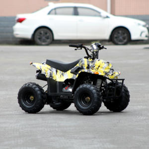 <span class=keywords><strong>Quad</strong></span> à quatre roues <span class=keywords><strong>pas</strong></span> <span class=keywords><strong>cher</strong></span> de 110 cm3 à démarrage électrique, à transmission par chaîne, fabriqué en Chine, à vendre - Product Image 3