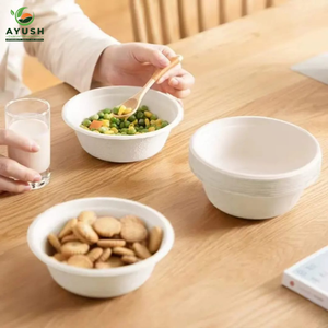 Assiettes et bols en papier jetables en pulpe de canne à sucre pour buffets, fêtes, restaurants et plats à emporter - Product Image 6