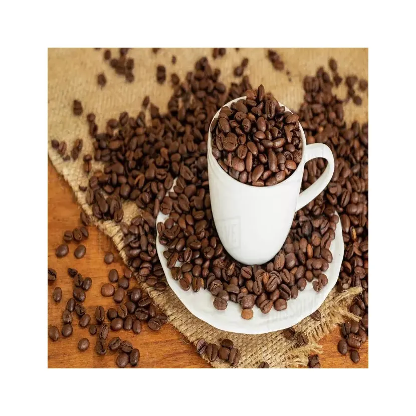 로부스트 그린 커피 원두 고품질 저렴한 가격