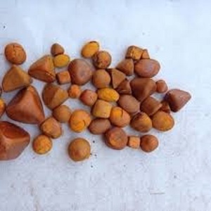 New Arrival !! Ox Gallstones, Cow Gallstones, Cattle Gallstones Bezoar Bolus Gallstones - Product Image 1