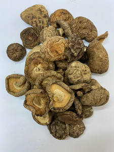 SETA SEDA PRODUCTO DE SETA CONGELADA DE ALTA CALIDAD - Product Image 3