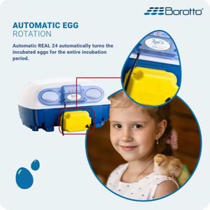 Incubateur intelligent Borotto, capacité de 24 œufs, contrôleur fabriqué en Italie, véritable incubateur automatique professionnel pour l'éclosion des œufs - Product Image 4