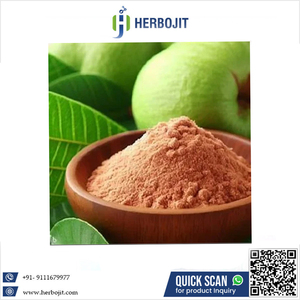 ผงฝรั่งแท้คุณภาพสูงเกรดอาหาร ละลายน้ำได้ ผลิตด้วยวิธีสเปรย์ดราย รสชาติเยี่ยม ผลิตในอินเดีย วัตถุเจือปนอาหารที่ดีที่สุดสำหรับตลาด - Product Image 6