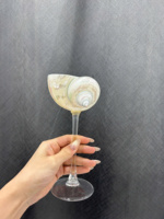 Verre de coupe Shell fait à la main de haute qualité pour cocktail de champagne