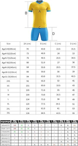 Fabricants de vêtements de football personnalisés produisant des uniformes spécifiques à l'équipe selon les spécifications - Product Image 6