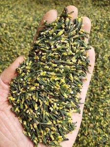 VENTE CHAUDE Embryon de lotus pour la transformation alimentaire utilisé dans les mélanges de thé, la fabrication de boissons et l'approvisionnement en ingrédients emballés Vietnam - Product Image 3