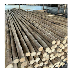 Poteaux en bambou traités de qualité pour les projets de construction et de jardin extérieurs Poteaux en bambou solides pour des performances fiables - Product Image 1