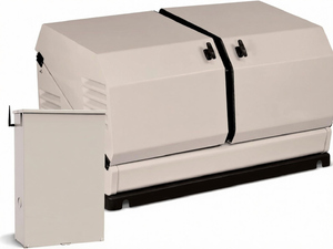 Generatore di Emergenza Domestico Power Equipment 100837 da 14kW, con Interruttore di Trasferimento Automatico aXis da 200 Ampere - Product Image 1