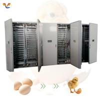 Incubateur solaire entièrement automatique pour 500 œufs, machine d'incubation solaire pour l'éclosion de poulets, canards, oies, cailles, élevage