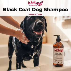 Shampoo per Cani con Pelo Nero 200 mL OEM PL Italia RedMoringa Prodotto per la Cura degli Animali - Product Image 2
